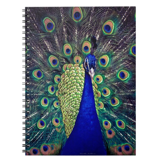 Caderno Espiral Pavão Azul Cobalto (Frente)