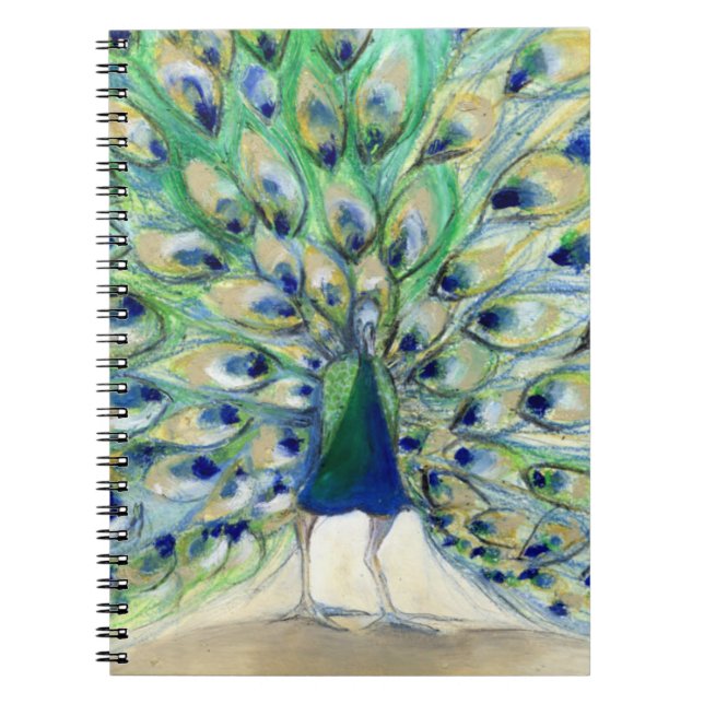 Caderno Espiral Pavão em San Diego 2 2013 (Frente)