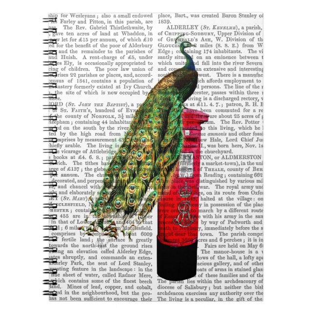 Caderno Espiral Pavão na Caixa Postal (Frente)