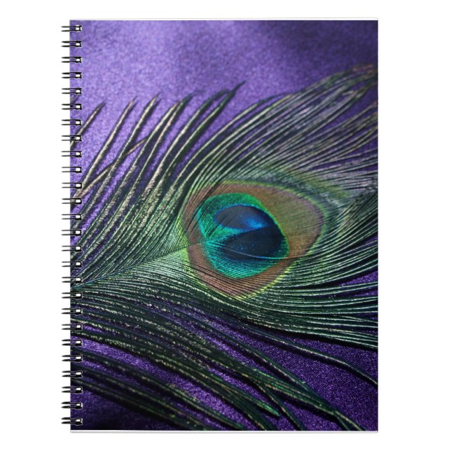 Caderno Espiral Pavão-Púrpura-Penteado (Frente)