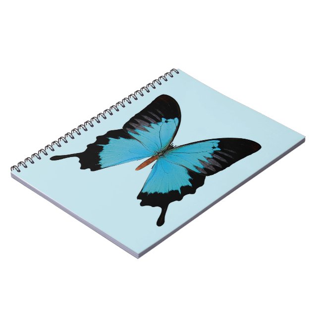 Caderno Espiral Pavão Real (Left Side)