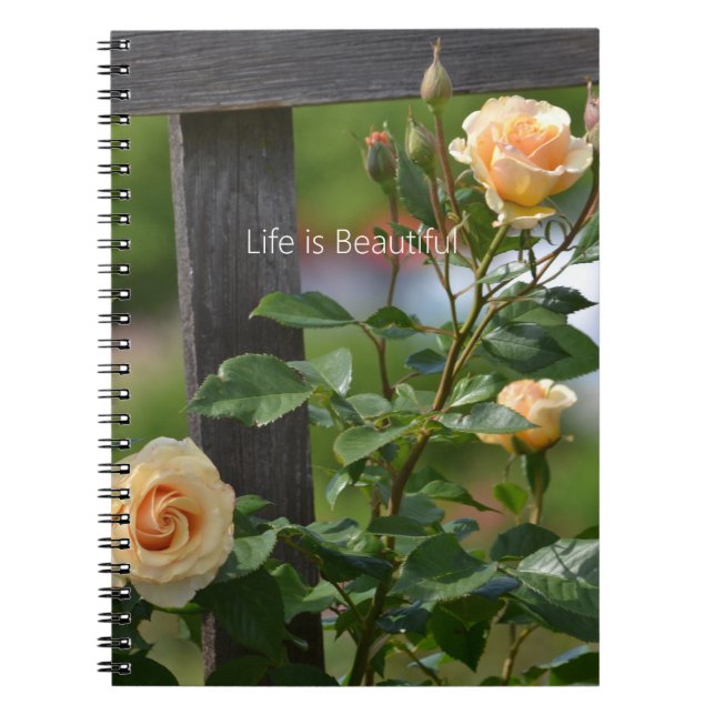 Caderno Espiral Peach Roses Fence Floral (my photography) (Frente)