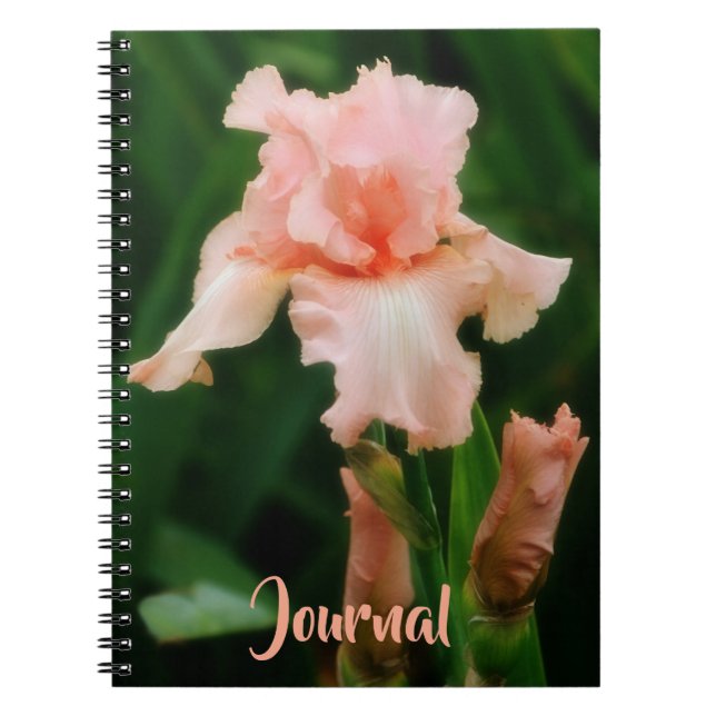 Caderno Espiral Peachy Pink Iris Flower Art Diário Pessoal (Frente)