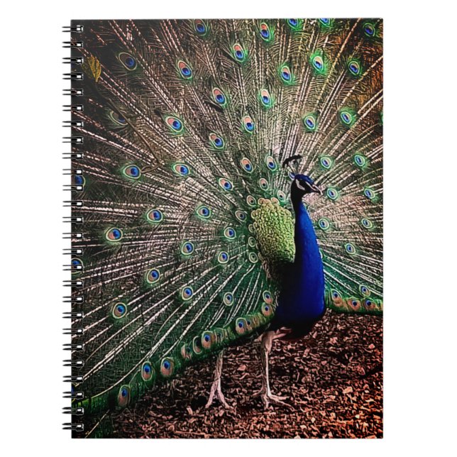 Caderno Espiral Peacock (Frente)
