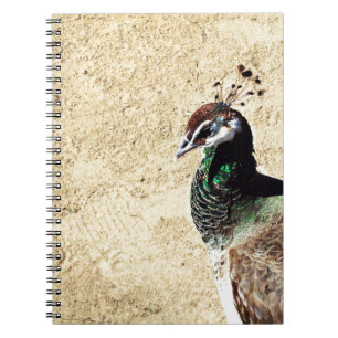 Caderno Espiral Peacock