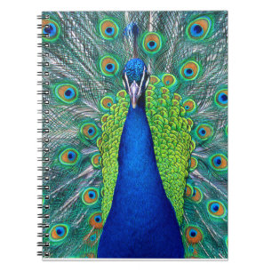 Caderno Espiral Peacock#1