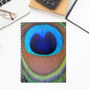 Caderno Espiral Peacock Feather Eyespot Colorida