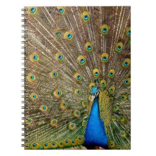 Caderno Espiral Peacock Pattern Peacock Trabalho de arte Painting 
