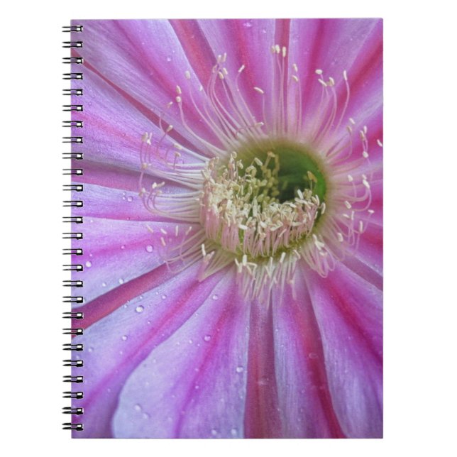 Caderno Espiral Pedaço de bolo liso (Frente)
