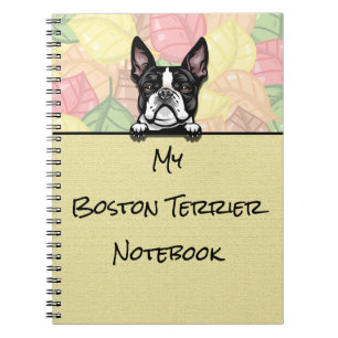 Caderno Espiral Peeking Cute Boston Terrier notebook