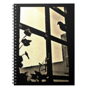 Caderno Espiral Peeking Pigeon