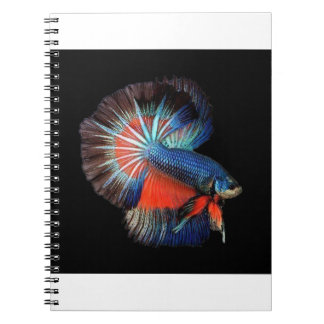 Caderno Espiral peixe-5115102_1280