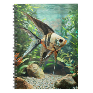 Caderno Espiral Peixe-anjo nadando em aquário de água doce