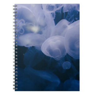 CADERNO ESPIRAL PEIXE AZUL E BRANCO NA ÁGUA