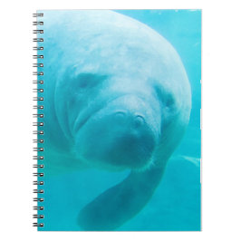 Caderno Espiral Peixe-boi