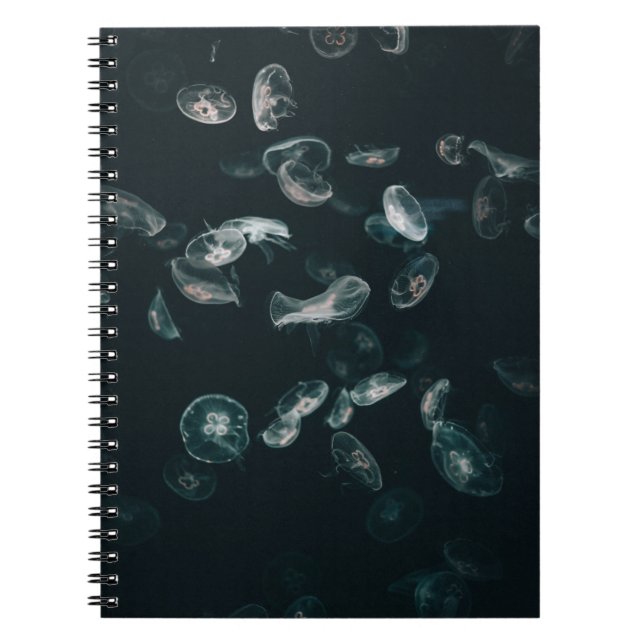 CADERNO ESPIRAL PEIXE BRANCO E PRETO NA ÁGUA (Frente)