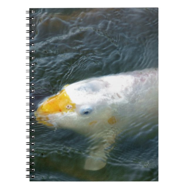 Caderno Espiral Peixe Goldfish No Lago (Frente)