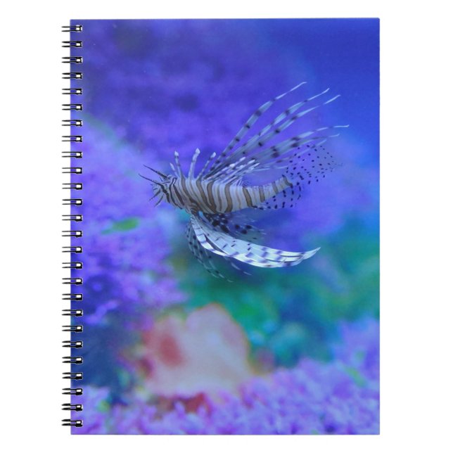 Caderno Espiral Peixe-Leão-Aquário Peixe-Púrpura Pterois Zebrafish (Frente)