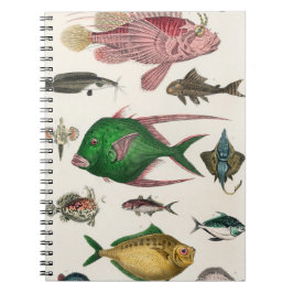 Caderno Espiral peixe, oceano, fofo, mar, água, animais, pesca