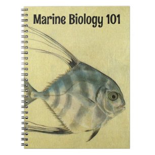 Caderno Espiral Peixe Pompano Africano, Peixe Trevally de Barbatan
