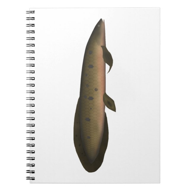 Caderno Espiral Peixe-pulmão australiano (Frente)