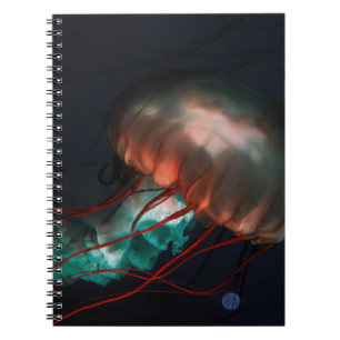 CADERNO ESPIRAL PEIXES-DE-BOVINO E VERDE