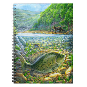 Caderno Espiral Peixes do rio Montanha