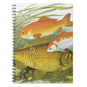 Caderno Espiral Peixes Koi Goldfish, Vida Marinha Aquática Antiga
