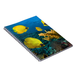 Caderno Espiral Peixes Tropicais de Notebook