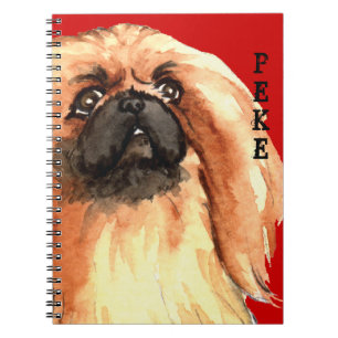 Caderno Espiral Pekingese Color Block