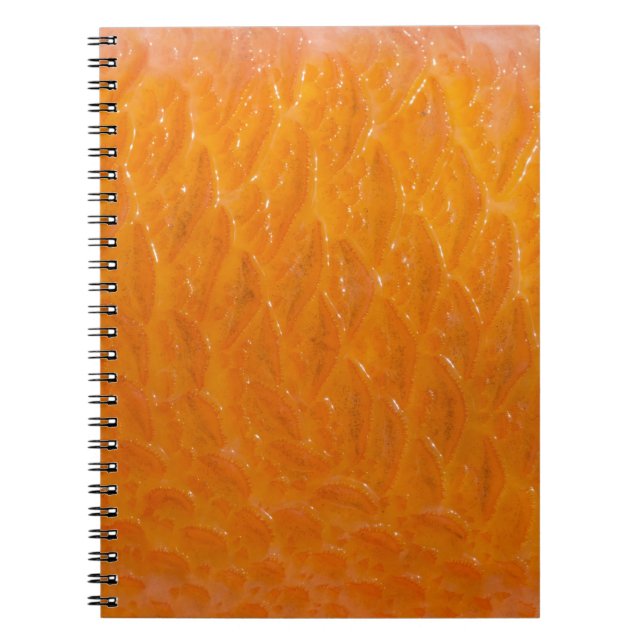 Caderno Espiral Pele de Rockfish (Frente)