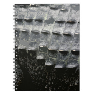 CADERNO ESPIRAL PELE DO CROCODILO