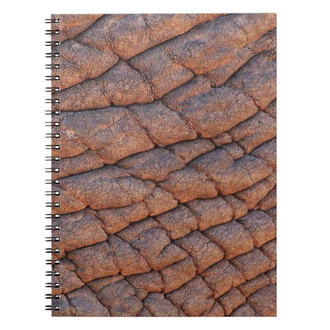 Caderno Espiral Pele Elefante (Frente)