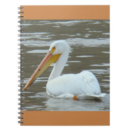 Caderno Espiral Pelicano Branco B15 na Água Barrenta