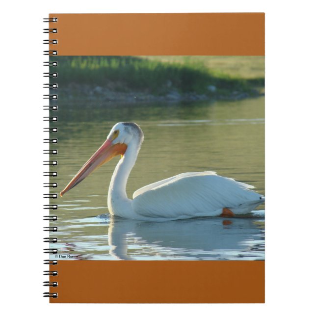 Caderno Espiral Pelicano branco B4 (Frente)