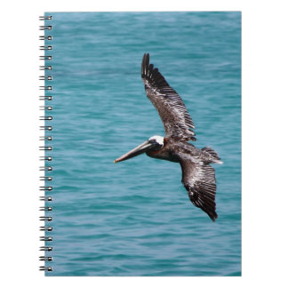 Caderno Espiral Pelicano em vôo