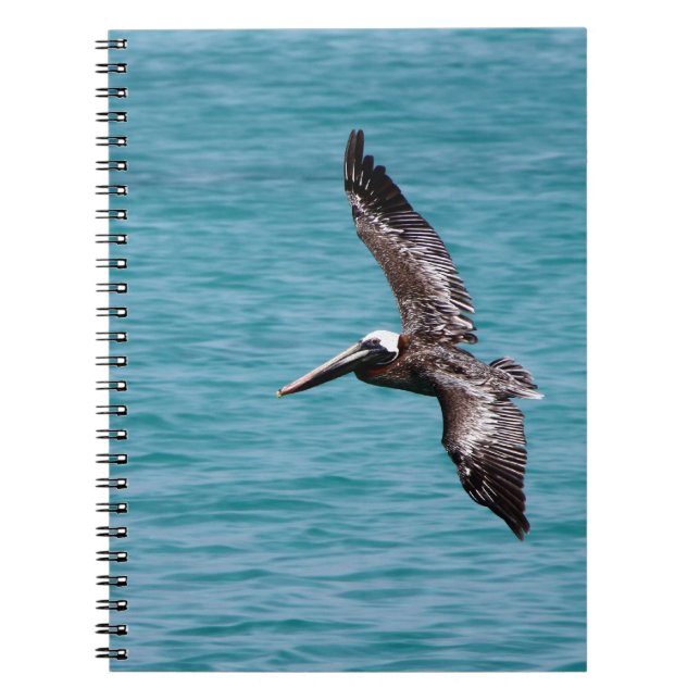Caderno Espiral Pelicano em vôo (Frente)