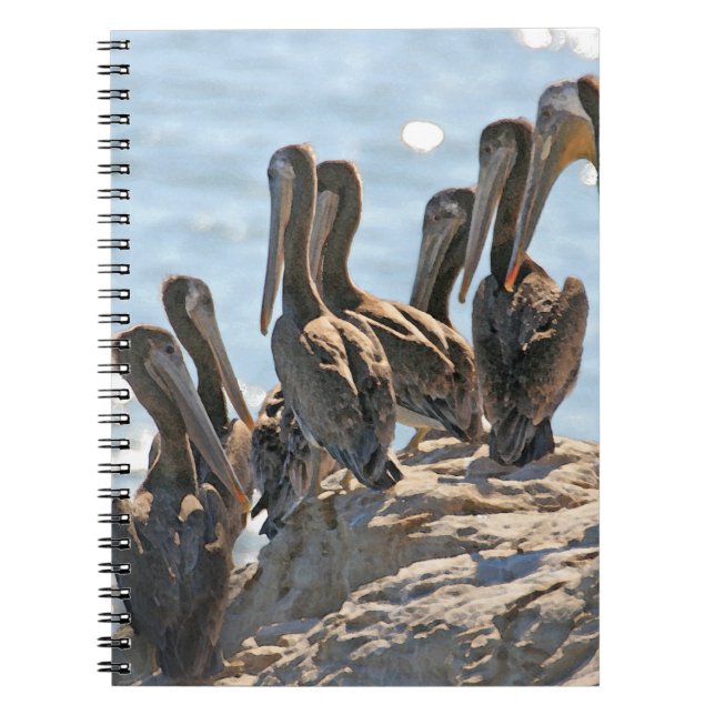 Caderno Espiral Pelicanos (Frente)