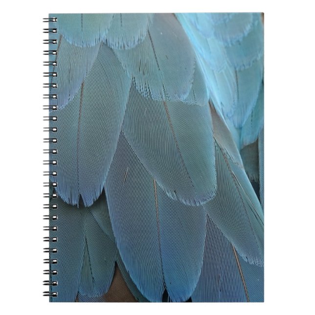 Caderno Espiral Pena Azul (Frente)
