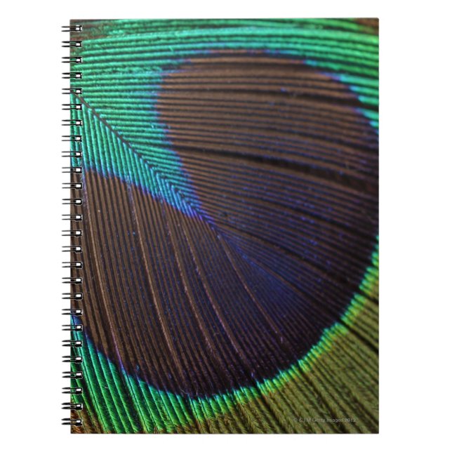 Caderno Espiral Pena de Peacock (Frente)