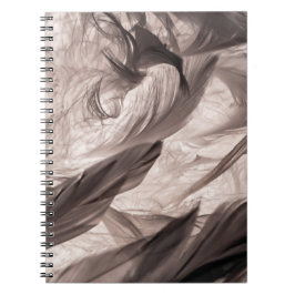 Caderno Espiral Penas