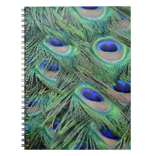 Caderno Espiral Penas bonito de Peacock (Frente)