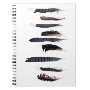 Caderno Espiral Penas de Jay Azul