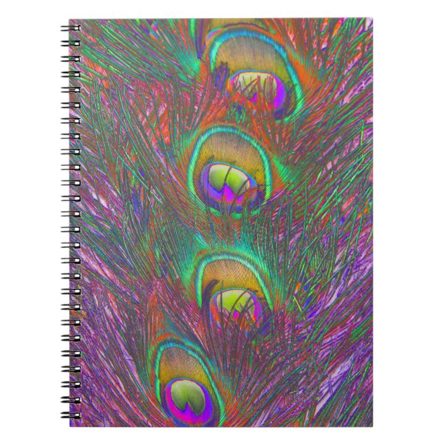Caderno Espiral Penas de Natal Tinsel Peacock (Frente)
