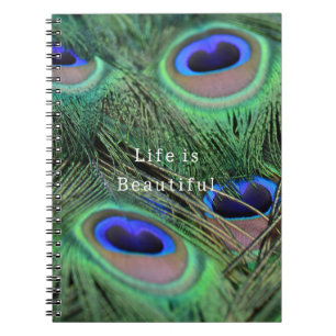 Caderno Espiral Penas de Pavão Azul de Kauai (foto tirada por mim)