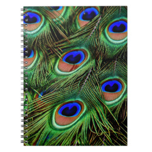 Caderno Espiral Penas de Peacock
