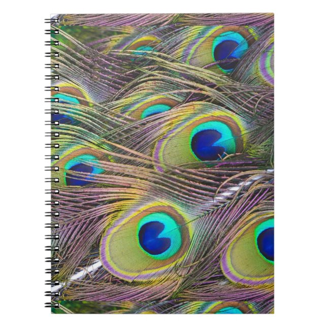 Caderno Espiral Penas de Peacock (Frente)