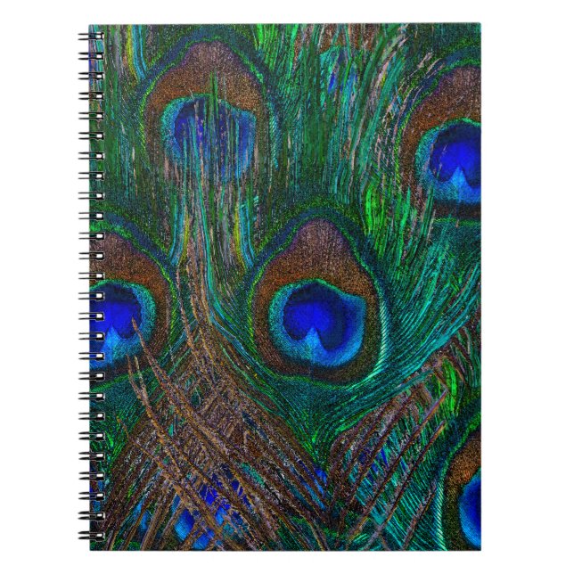 Caderno Espiral Penas de Peacock Coloridas Estilo (Frente)