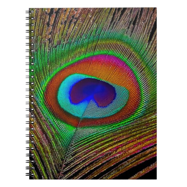 Caderno Espiral Penas de Peacock de Cobre Vibrantes (Frente)