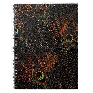 Caderno Espiral Penas de Peacock de Tangerina Escura